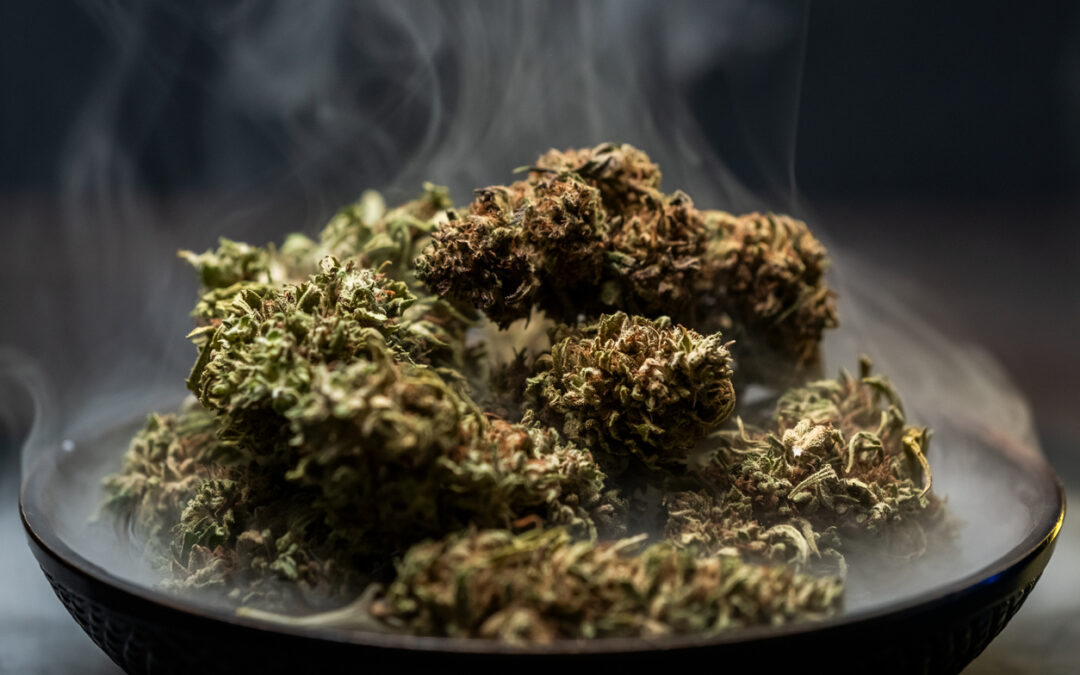 Historia del Cannabis: De Planta Ancestral a su Criminalización Moderna