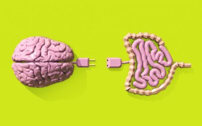 Tu intestino toma más decisiones que tú.
